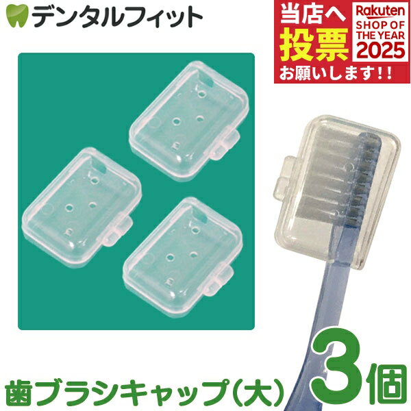 NEW 歯ブラシキャップ（大） / 3個入り