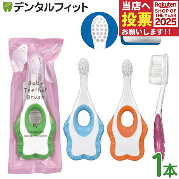 Ciベイビーティーザーブラシ 1本 やわらかめ ※カラーは当店おまかせ 歯の生え始めの自分磨きに 対象5か..