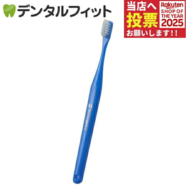 オーラルケア 山型 歯ブラシ インターブレイス ブルー 1本