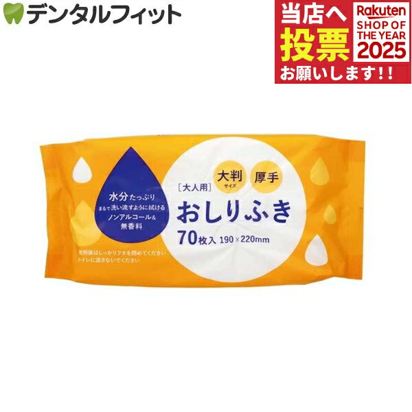 大人用おしり拭き 大判サイズ(厚手) 19×22cm 1パック( 70枚) / 介護 衛生用品 防災グッズ / ノンアルコール 無香料