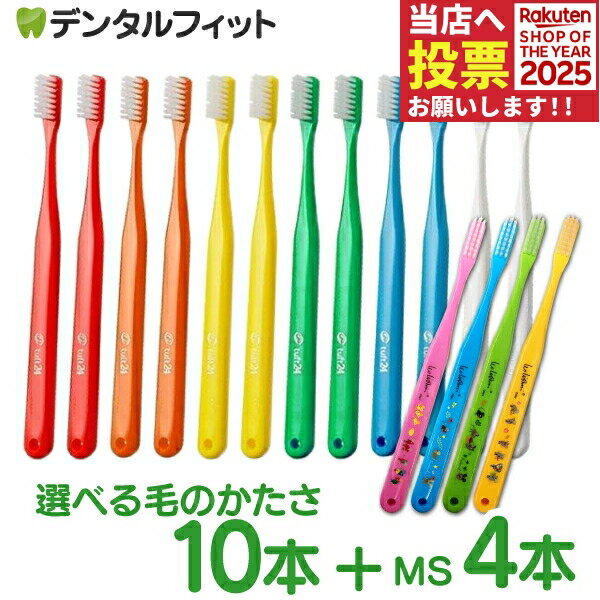 タフト24とレオニ歯ブラシ、歯科衛生士が徹底比較！【選び方ガイド】