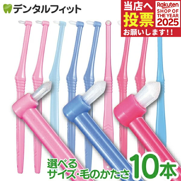 【★40％ポイントバック 11/17 9:59 迄】CiPRO ワンタフトブラシ 10本セット（メール便2点まで）【メール便選択で送料無料】