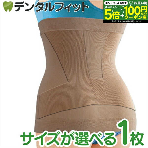 【★先着100円OFFクーポン＋エントリーP5倍 2/4 20:00-2/10 1:59】菊池式 腰楽いきいきサポーター (レギュラー/ラージ）1枚【サンスマイル 下腹 腰 背中 引き締め サポート 】 【送料無料】
