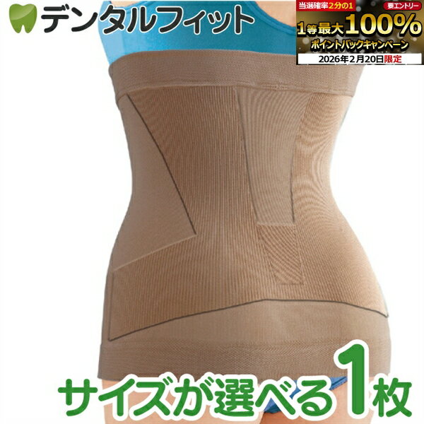 【★エントリーでポイント5倍 2/19-2/23】菊池式 腰楽いきいきサポーター (レギュラー/ラージ）1枚【サンスマイル 下腹 腰 背中 引き締め サポート 】 【送料無料】