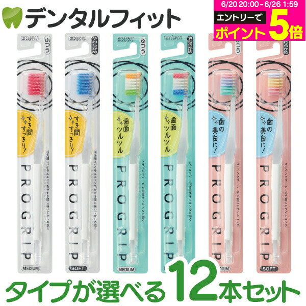 【★エントリーでポイント5倍 6/20 20:00-6/26 1:59迄】エビス プログリップ 12本セット タイプ1 タイプ2 タイプ3 カラーアソート 磨きやすく洗練されたデザイン EBiSU PROGRIP 歯ブラシ プログリップハブラシ(メール便1点迄)【メール便選択で送料無料】