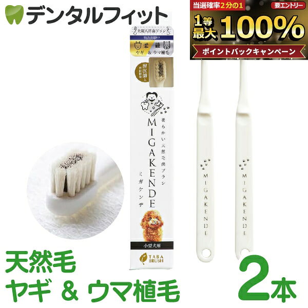 ミガケンデ MIGAKENDE 柔らかい天然毛歯ブラシ 小型犬用 ヤギ＆ウマ植毛 柔らか＋磨き心地 2本セット 