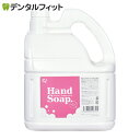 【★エントリー最大P9倍+先着100円OFFクーポン 6/4-6/11】【送料無料】Ci泡ハンドソープ フローラルの香り 1本(4L)