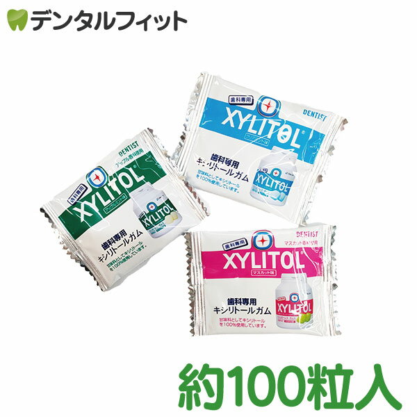 【★ポイント5倍 5/23 20:00-5/27 1:59】オーラルケア キシリトールガム お試し品（試供品） 約100粒セット（メール便1点まで）【メール便選択で送料無料】／ ガム 個包装