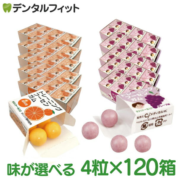 【送料無料】味が選べる 歯科医院専用トレーニング フーセンガム(4粒×120箱) グレープ味/オレンジ味 風船ガム キシリ…