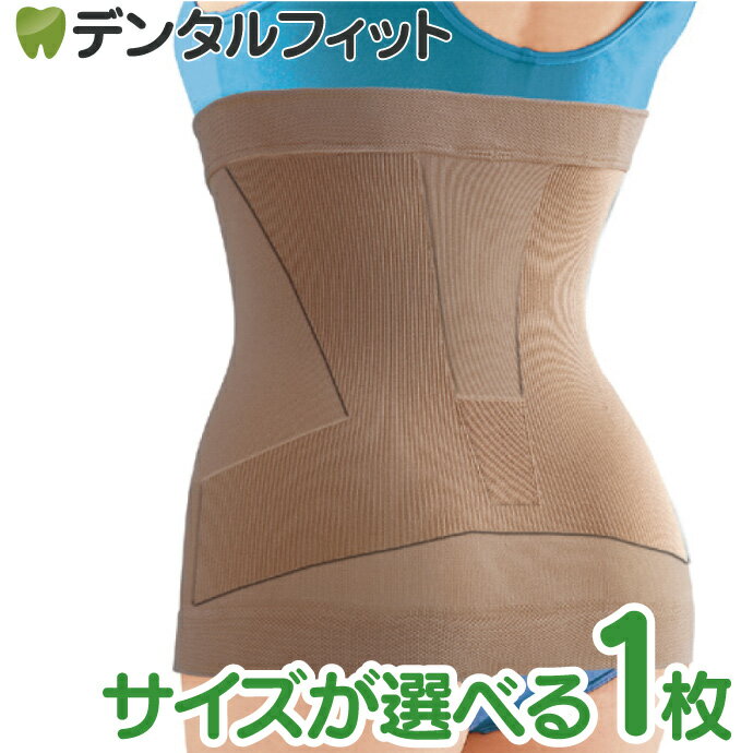 樂天商城 - 菊池式 腰楽いきいきサポーター (レギュラー/ラージ）1枚【サンスマイル 下腹 腰 背中 引き締め サポート 】 【送料無料】