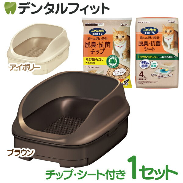 �˥��Ȥ�����ȥ��쥪���ץ󥿥��� 1���åȡʥ饤�ȥ١�����/�֥饦��ˡڥ����ơ� ǭ�� �ȥ��� �����Ф��� ������̵����