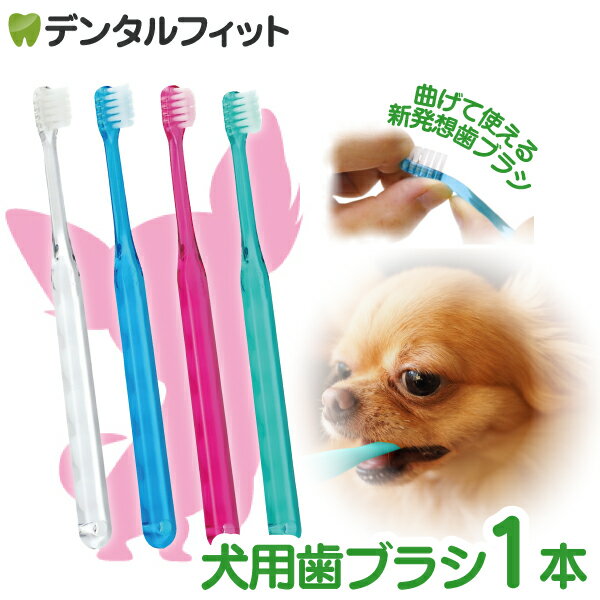 【北陸げんき市★先着100円OFFクーポン有】犬用 歯ブラシ / Ci シュワワ / 1本【Ciメディカル 歯ブラシ】【メール便選択で送料無料】