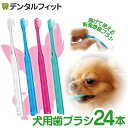【★ポイント5倍 10/1 23:59迄】犬用 歯ブラシ / Ci シュワワ / 4色アソート/24本セット【Ciメディカル 歯ブラシ】
