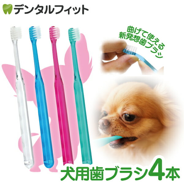 ビバテック シグワン 超小型犬用歯ブラシ