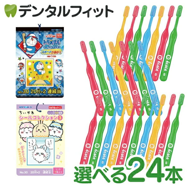 �Ҷ��� ���֥饷�֥ꥻ�� ������� 24�ܤȥ����륳�쥯��������� 1«(20��+2��)�Υ��åȡ�Ci��ǥ����� ���֥饷 / ���󥹥��� �������դ������� 1...