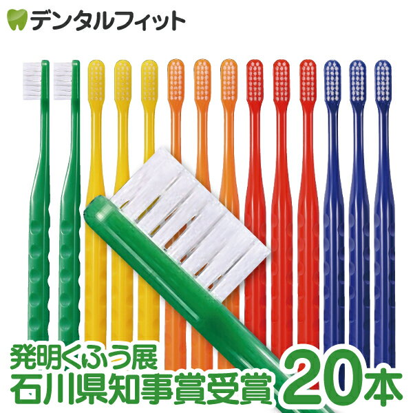 �ڥ󥰥�åץʥ� ���֥饷 M�դĤ� 20�ܥ��åȡʥ᡼����2���ޤǡˡ�Ci��ǥ����� ���֥饷�ۡڥ᡼�������������̵����