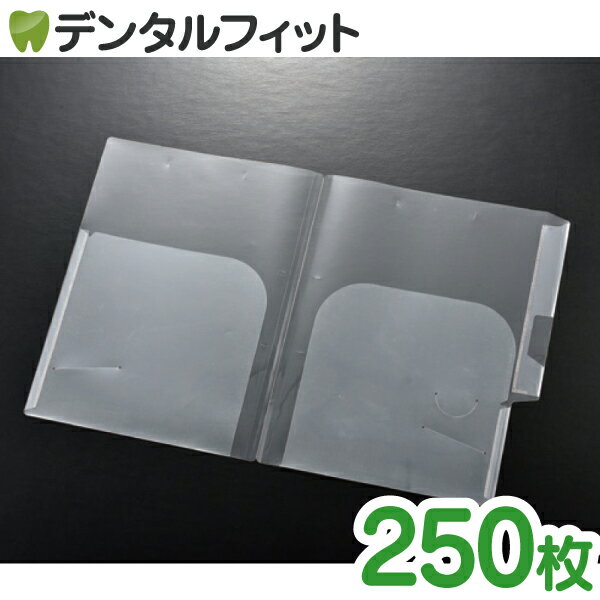 【送料無料】A4 カルテファイル クリア ダブル タテ (255×310mm／たたみ時) 250枚入 #8824 透明