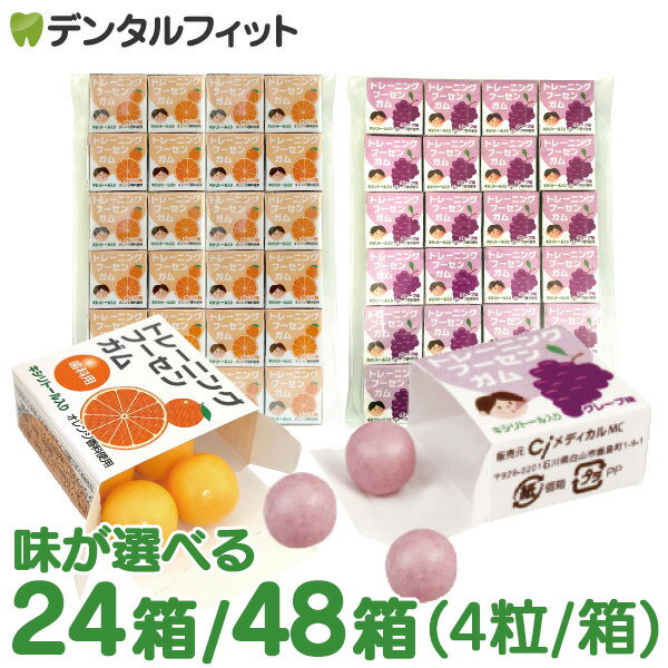キシリトールガム 歯科専用 トレーニング フーセンガム 24箱/48箱(4粒/箱) グレープ味/オレンジ味 風船ガム キシリトール配合 ぶどう風..
