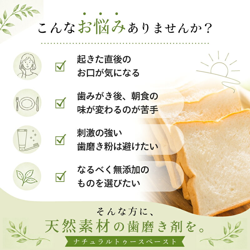 歯磨き粉 無添加 フッ素なし エパック 21 ニューナチュラルハミガキ 3本セット(140...
