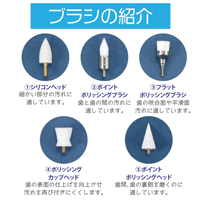 【★先着400円OFFクーポン+エントリーP5倍 6/4-6/11】ホワイトニング用電動歯面ポリッシャー 1セット TP001 PMTCスクリュー対応 ブラシ5種 LEDライト ホワイトニング 白い歯 ホームホワイトニング 3