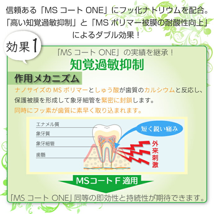 【★エントリーでポイント5倍 5/23 20:00-5/27 1:59迄】MSコートF 1セット(フルセット) 知覚過敏抑制材料 サンメディカル 知覚過敏 コーティング 【送料無料】 3