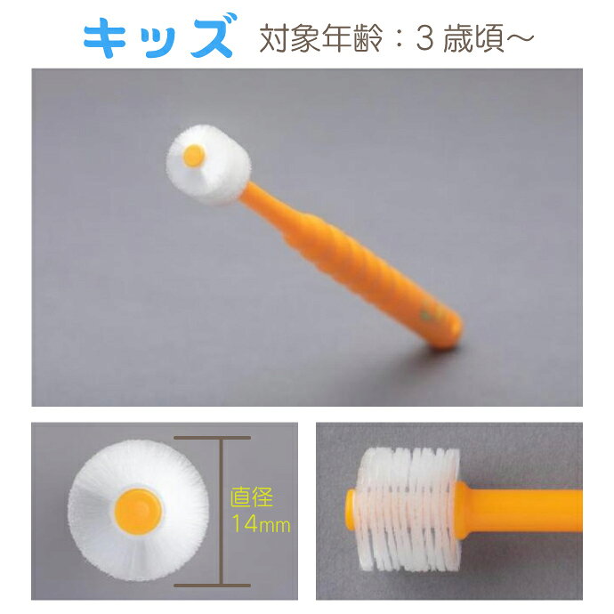 POPOTAN 360�ٻ��֥饷 1�� ���å� / �٥ӡ� 360do BRUSH �Ҥɤ��ѻ��֥饷 �ݥݥ��� �ž夲�᤭�ˤ� �����顼�Ϥ����Ӥ��������ޤ��� �ݥ���Ⱦò� �ݥ���Ⱦ���