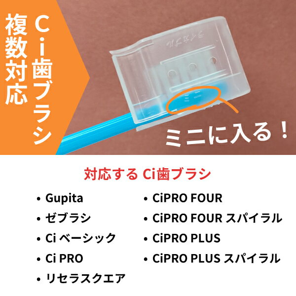 ���֥饷����å� 1�� Ci ���֥饷 ʣ�� �б� �饤���֥����� �饤���֥�ߥ� �ڥݥ���Ⱦò���