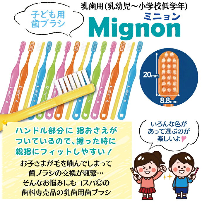 �ڡ�50%OFF�ۻ��֥饷 �Ҷ������� Mignon-�ߥ˥��- M�դĤ�/S���餫�� 50������
