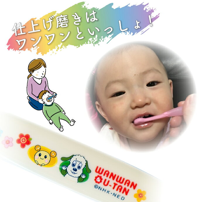 �ڡ��ݥ����5�� 2/25 0:00-23:59��EBiSU ���ӥ� ���ʤ����ʤ��Ф��á� �ž夲�ߤ����� ���֥饷 S���餫�� �� 3�ܡ�12��