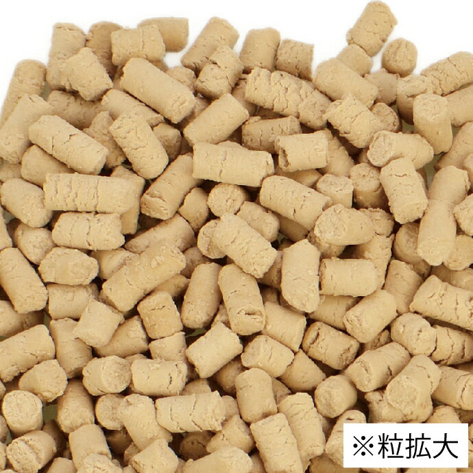 三晃 乳酸菌サプリ お徳用 1袋(100g) うさぎ ハムスター リス モルモット チンチラ...