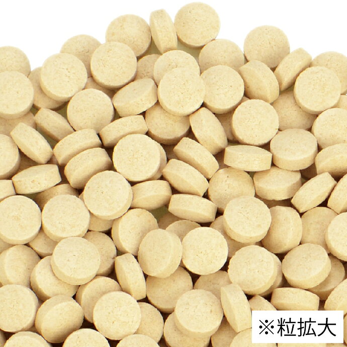 【★先着100円OFFクーポン＋エントリーP5倍 7/4 20:00-7/11 1:59】三晃 ビタミンCサプリ お徳用 1袋(100g) うさぎ テグー モルモット 小動物 サプリメント ペット 日本製 【メール便選択で送料無料】 d-fit-10014333 歯科医院専売品のデンタルフィット サンプル画像2