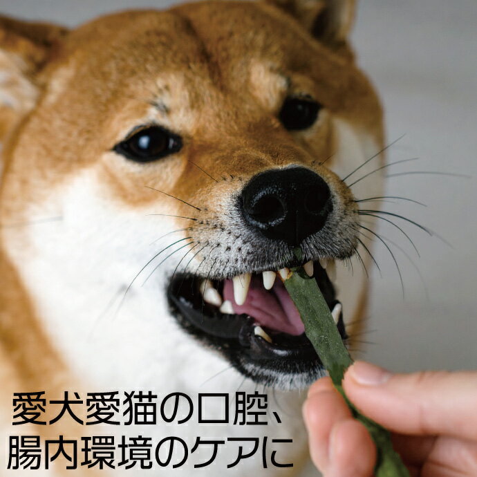 プレミール デンタルコート ガム PREMEA...の紹介画像3