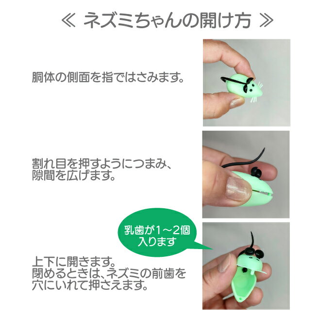 ���������� �Ҷ� �������� �ԥ륱���� ���襤�� �ͥ��ߤ�����������5�ĥ��å� or 20�ĥ��å� (5����������)�ڤ������� ������ ȴ������ ���ɤ�λ� ����åץ����� ��ʪ�����