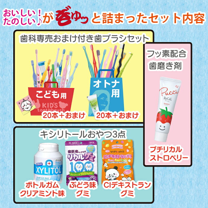 【★エントリーでポイント5倍 7/11 1:59迄】親子で楽しく！美味しく！歯を健康にす...