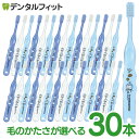 毛のかたさが選べる ドラえもん (Ci 503 Sやわらかめ or Ci 502 Mふつう) 3色アソート 各30本入【Ciメディカル 歯ブラシ】(メール便2点まで)【メール便選択で送料無料】