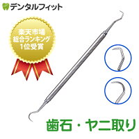 歯石取り・ヤニ取りカテゴリの流行りランキング1位の商品