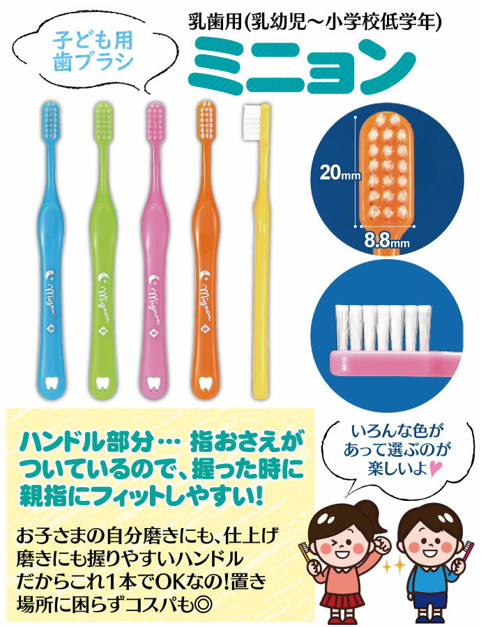 【★最大P12倍＋11％OFFクーポン(9/1)】Mignon-ミニョン- 歯ブラシ／Mふつう／5本入り【Ciメディカル 歯ブラシ】