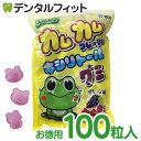 【SOY受賞★エントリーでP8倍 1/30 9:59迄】カムカム フレッシュキシリトールグミ グレープ味 お徳用100粒入 大袋BP