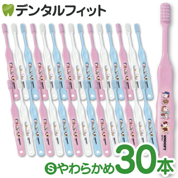 【メール便選択で送料無料】Ci 503 スヌーピー 3色アソート Sやわらかめ 30本入【Ciメディカル 歯ブラシ】（メール便2点まで）