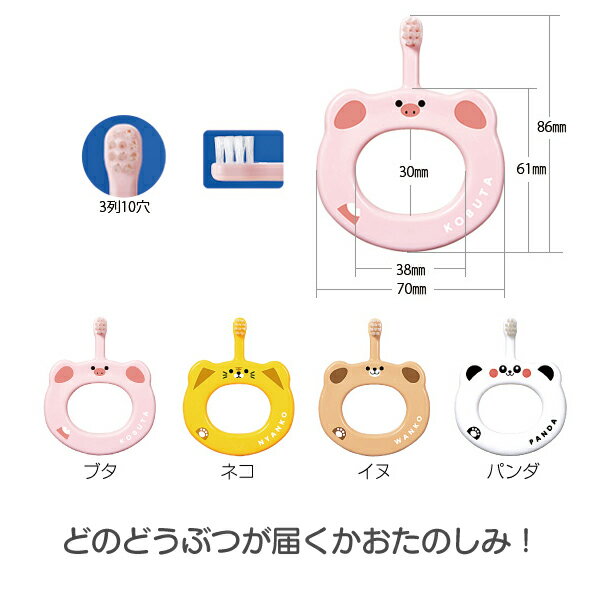 歯ブラシデビューセット Ciベビー 専用ケース...の紹介画像3