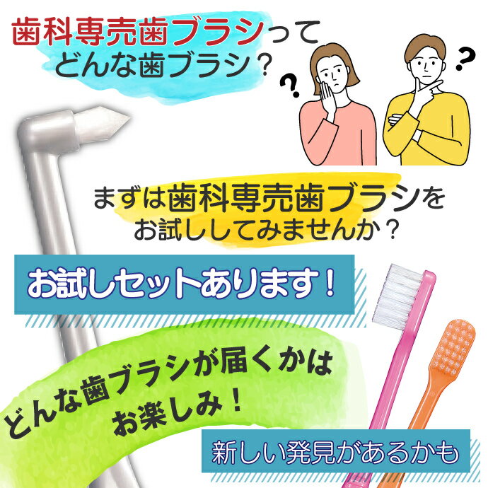 【北陸げんき市★先着100円OFFクーポン有】歯科専売品歯ブラシお楽しみ5本セット タフト24入り ラウンド毛 Mふつう他 大人用 歯科専用 お試し【ポイント消費 ポイント消化】【メール便選択で送料無料】 2