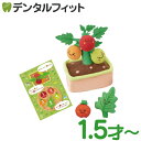 【★ポイント5倍 7/13 10:00 - 7/15 23:59】もぎもぎトマト畑 / 1個 【 知育玩具 1.5才〜 ファインモータートイ 知育玩具 ベビー ...