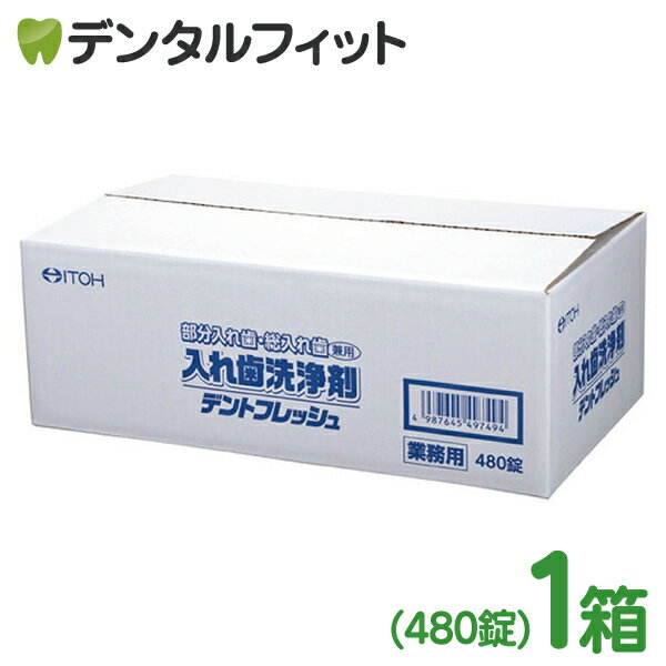 【北陸げんき市★先着100円OFFクーポン有】井藤漢方製薬 入れ歯洗浄剤 業務用 デントフレッシュ 1箱 480錠 消臭 除菌 ミントの香り 日本製