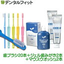 【★ポイント5倍 7/13 10:00 - 7/15 23:59】【送料無料】デンタルフィット歯の健康セット(オーラルクールCHX(100ml)2本 / CHジ...
