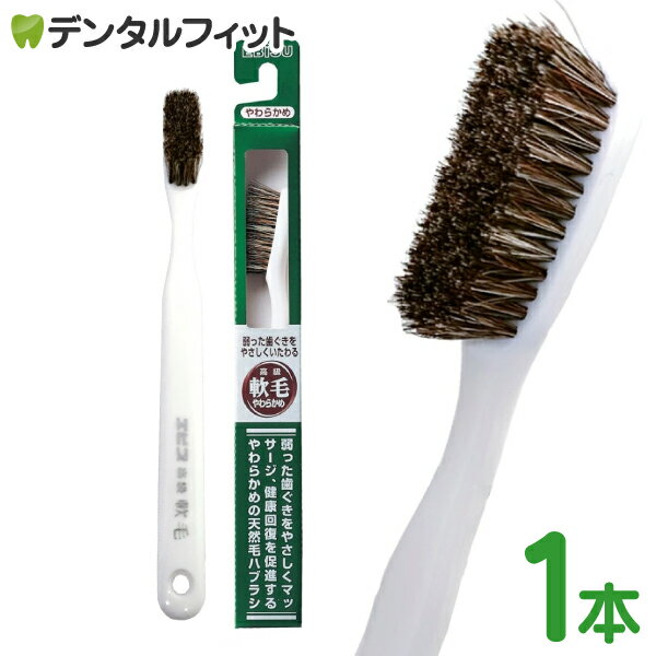 エビス 軟毛歯ブラシ やわらかめ 1本 弱った歯ぐきをやさしくいたわる高級軟毛歯ブラシ EBiSU B-N35 天然毛のハブラシ ゆるやかにカーブした植毛が歯茎にフィット ホワイト 白色