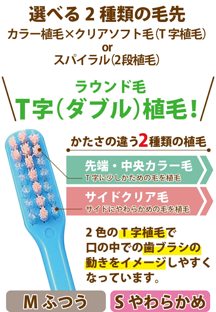 【メール便選択で送料無料】毛のかたさ/種類が選べるCiPROPLUS(プロプラス)シリーズ/25本入り(メール便1点まで)【Ciメディカル歯ブラシ】