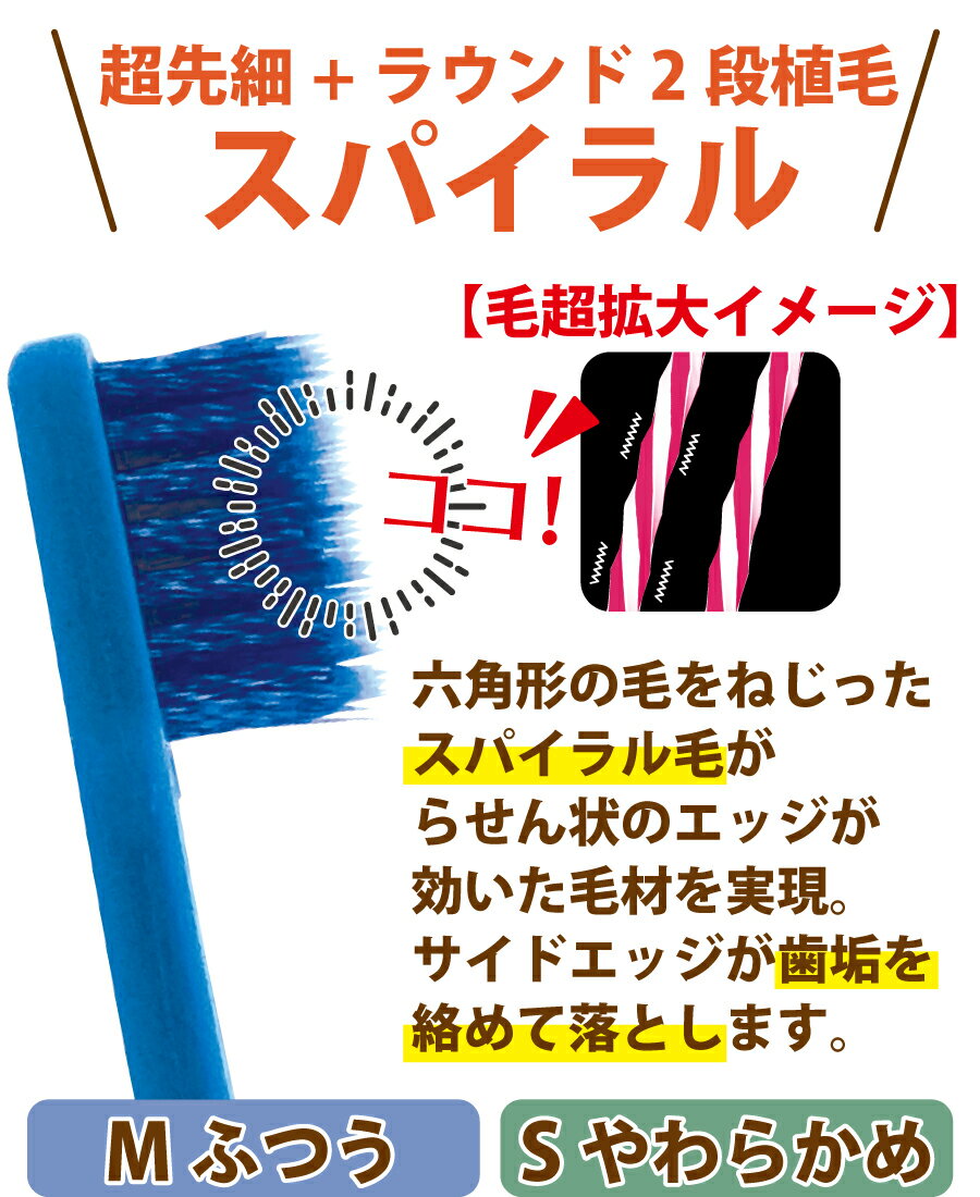 【SALE限定50%OFF】【メール便選択で送料無料】毛のかたさ/種類が選べるCiPROPLUS(プロプラス)シリーズ/25本入り(メール便1点まで)【Ciメディカル歯ブラシ】