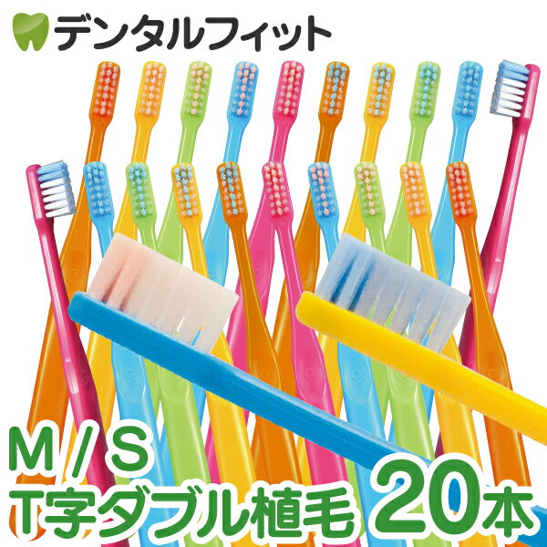 【北陸げんき市★先着100円OFFクーポン有】毛のかたさが選