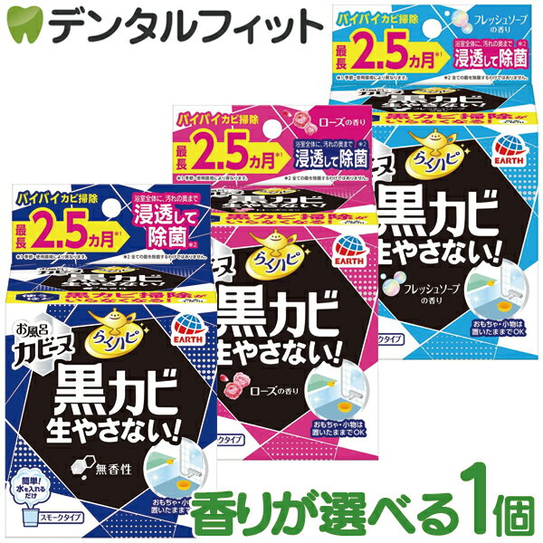 Rakuten - アース製薬 らくハピ お風呂カビーヌ 1個 お風呂のイヤなニオイもしっかり消臭！ 水を入れるだけの簡単スモークタイプ お風呂掃除 カビ掃除 除菌 消臭