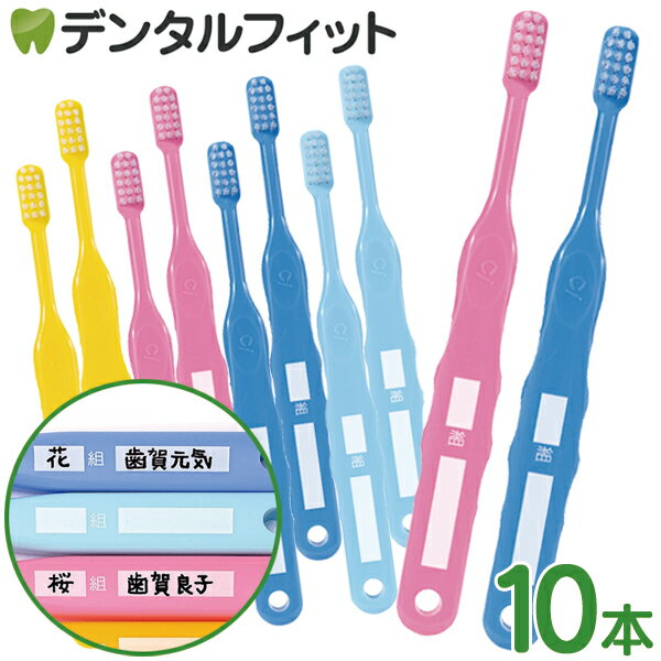 Ci 502(組・名前記入用プリント入)／Mふつう 10本入【Ciメディカル 歯ブラシ】(メール便4点迄)【メール..